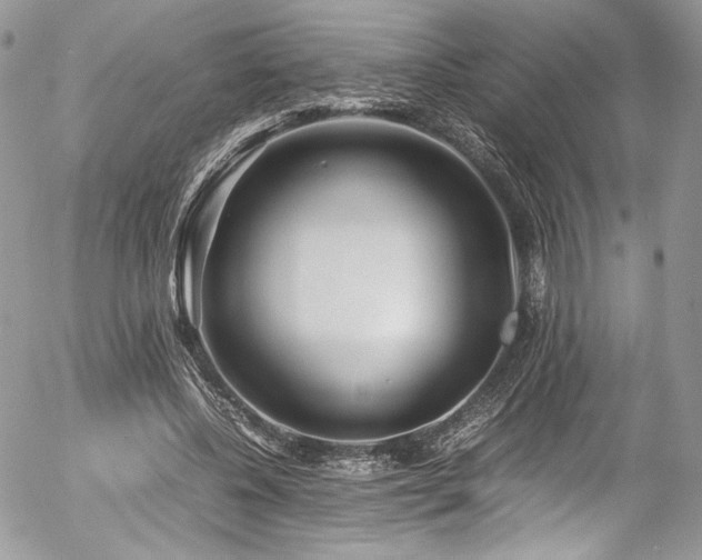 X0000054370540200507291049