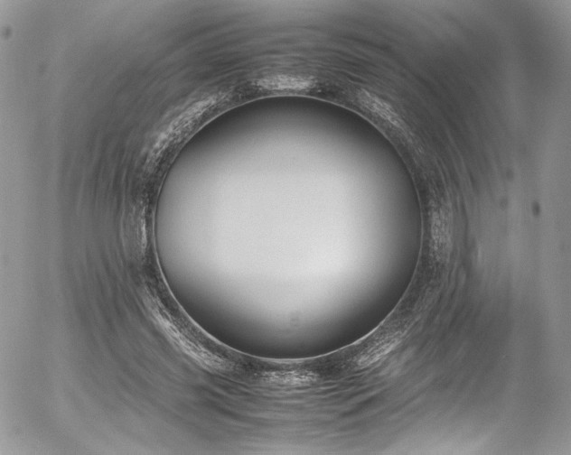 X0000054370541200507291049