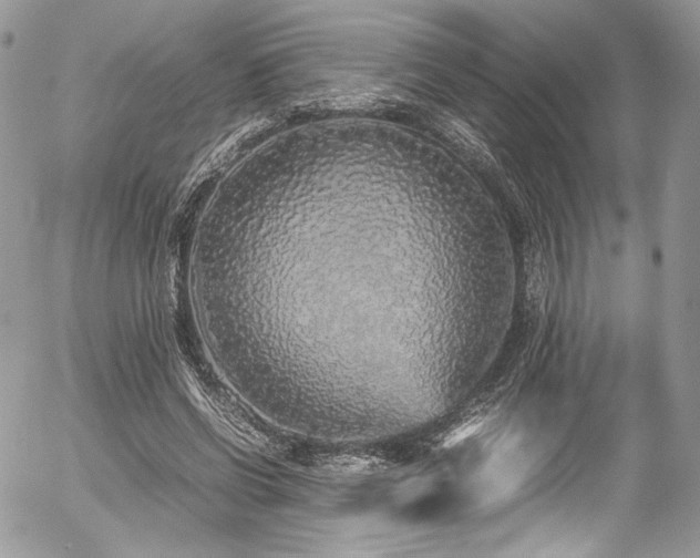 X0000054370542200507291049