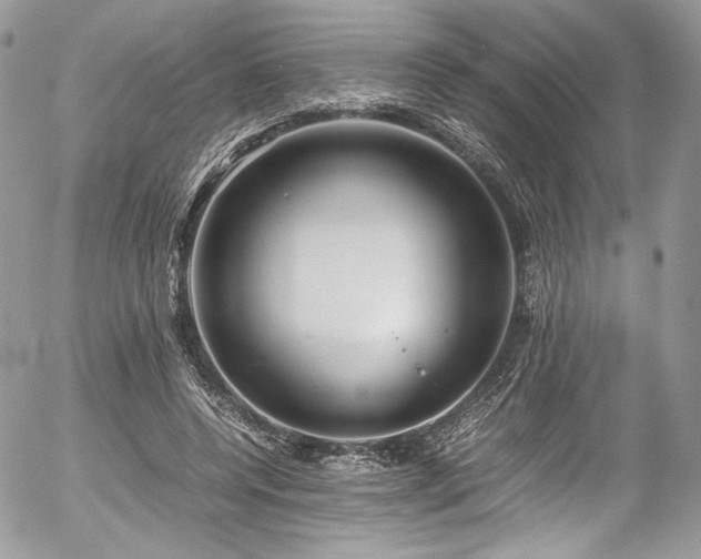 X0000054370544200507291049