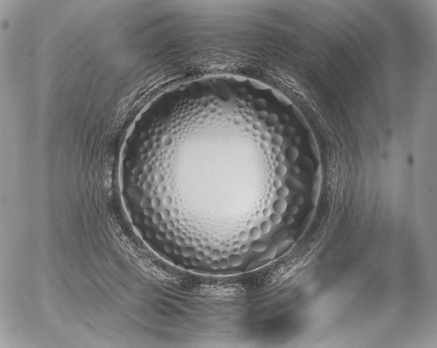 X0000054370545200507291049