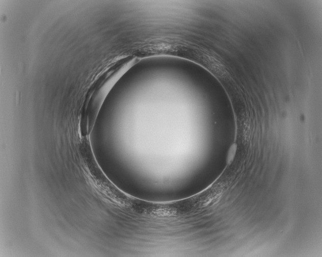 X0000054370546200507291049