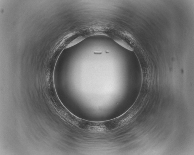 X0000054370548200507291049