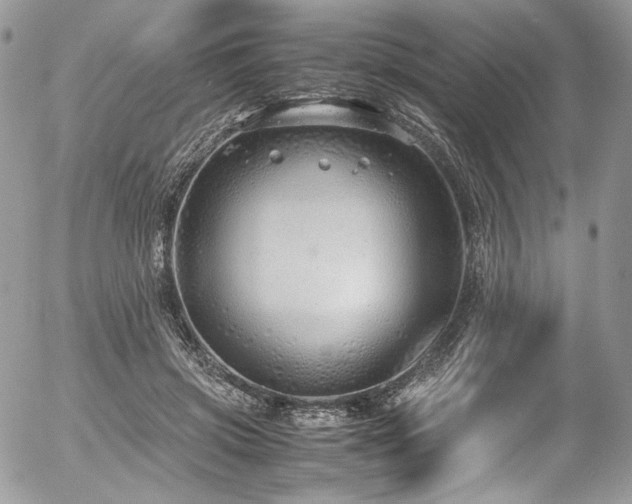 X0000054370549200507291049