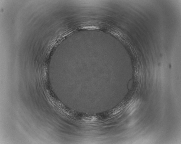 X0000054370551200507291049