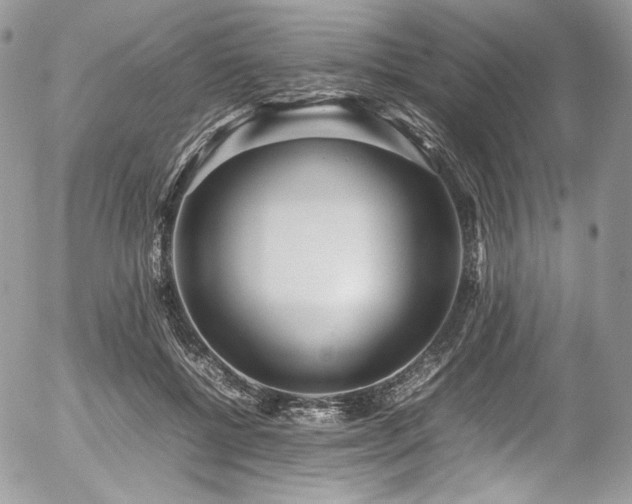 X0000054370552200507291049