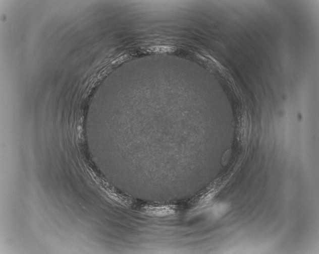 X0000054370553200507291049