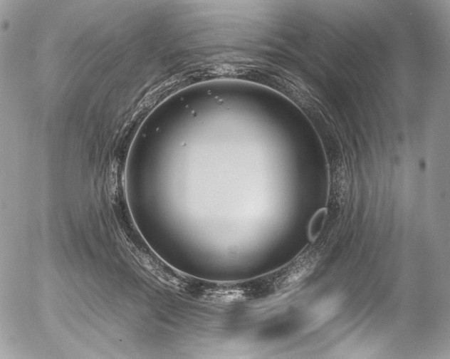 X0000054370554200507291049