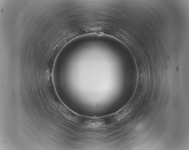 X0000054370555200507291049