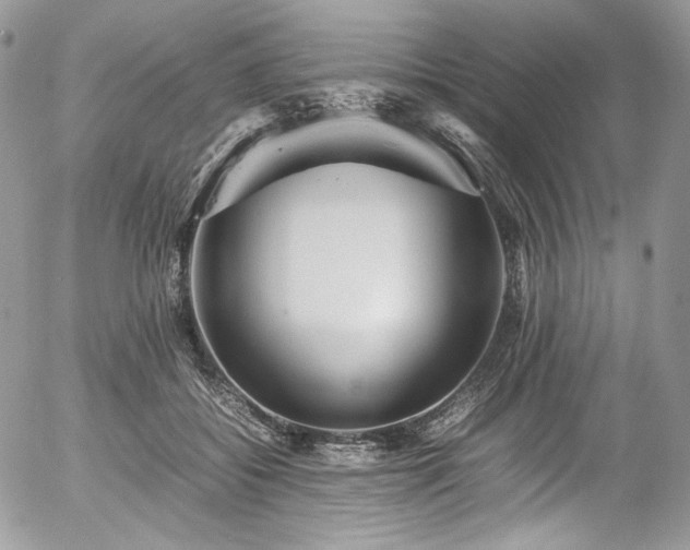 X0000054370556200507291049