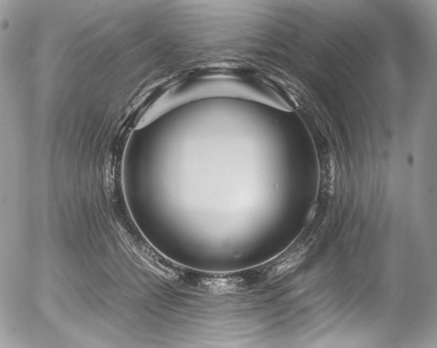 X0000054370558200507291049