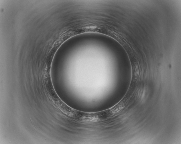 X0000054370559200507291049