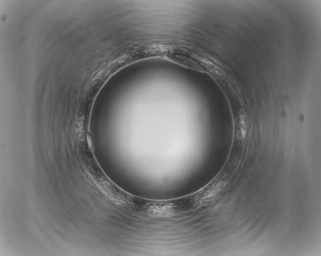 X0000054370560200507291049