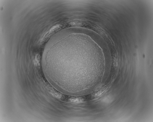 X0000054370561200507291049