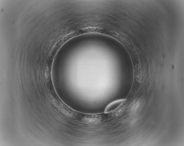 X0000054370563200507291050