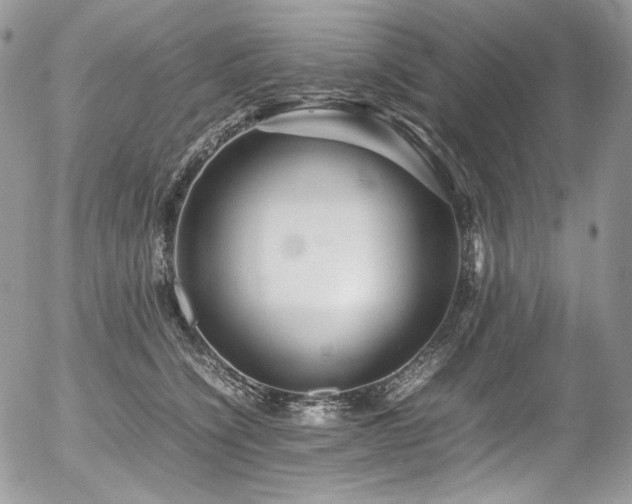 X0000054370564200507291050