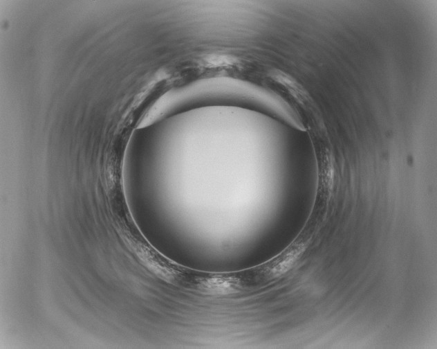 X0000054370566200507291050