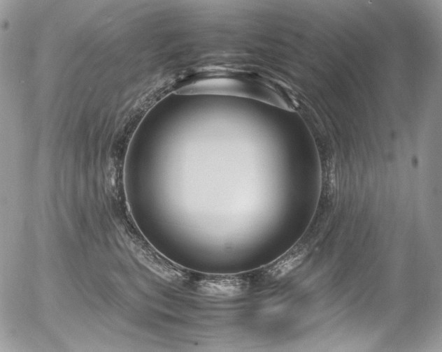 X0000054370567200507291050