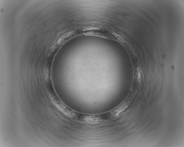 X0000054370568200507291050