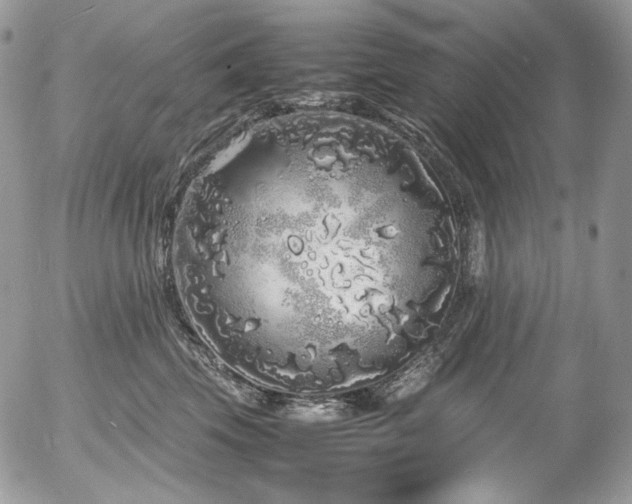 X0000054370569200507291050