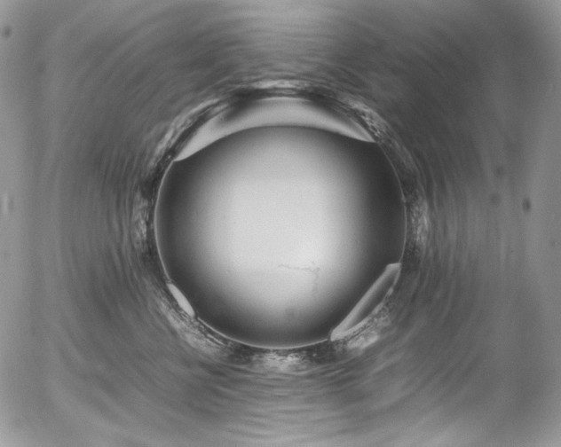 X0000054370570200507291050