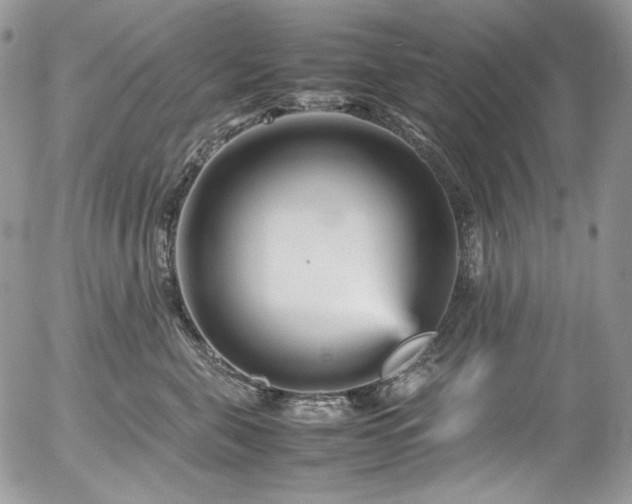 X0000054370571200507291050