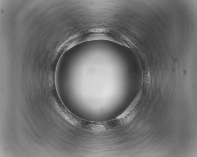 X0000054370572200507291050