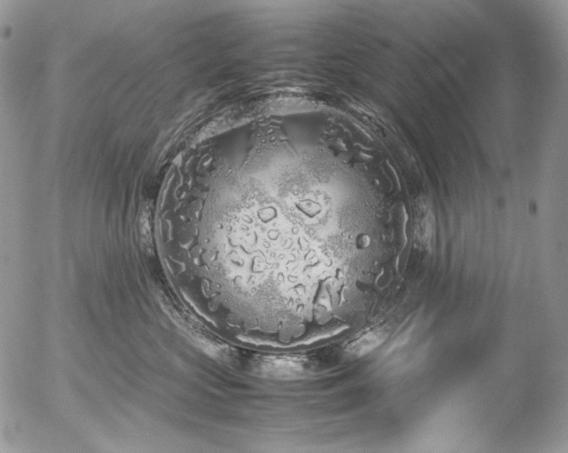 X0000054370573200507291050