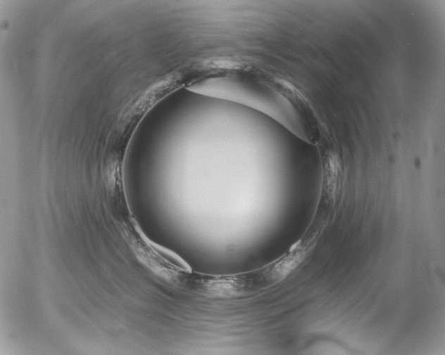 X0000054370574200507291050