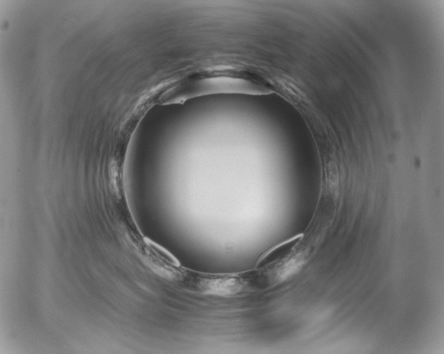 X0000054370575200507291050