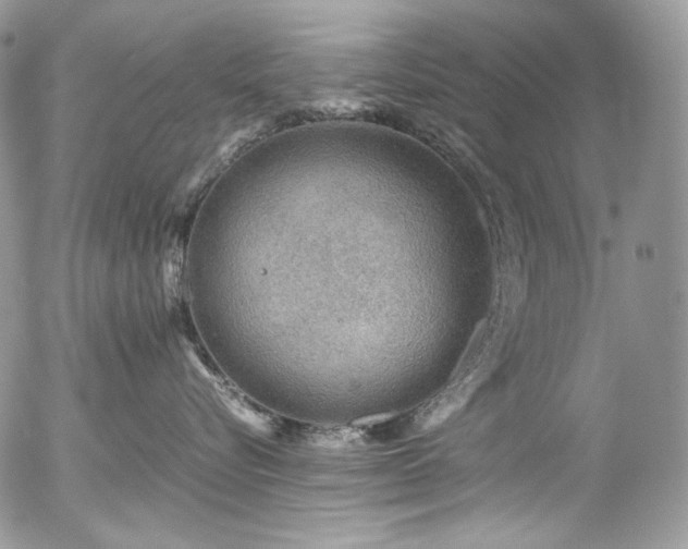 X0000054370576200507291050