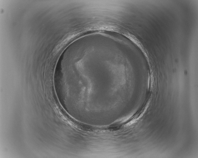 X0000054370577200507291049