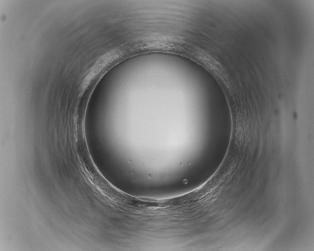 X0000054370578200507291049