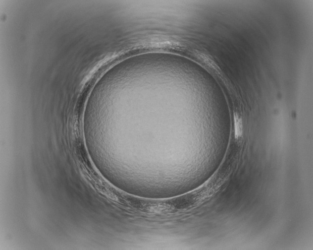 X0000054370579200507291049