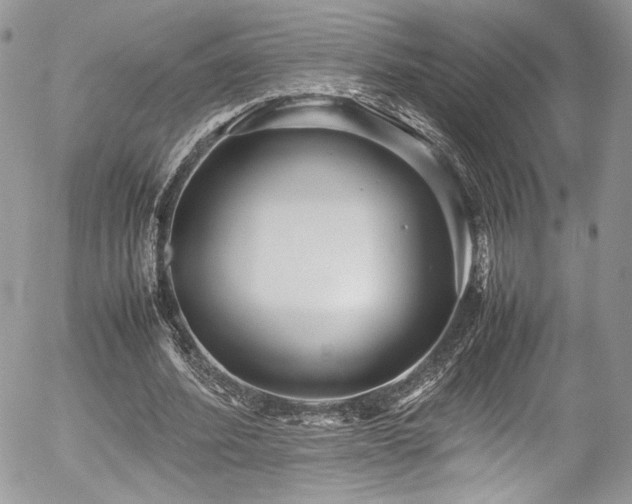 X0000054370580200507291049