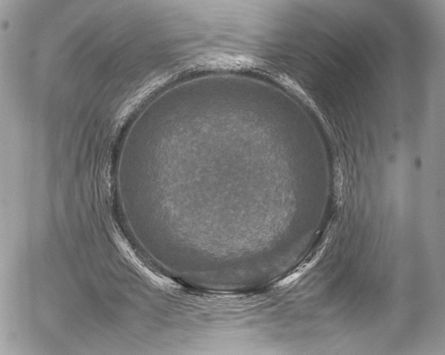 X0000054370581200507291049