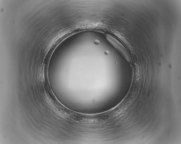 X0000054370582200507291049