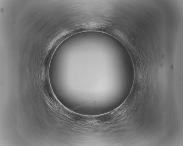 X0000054370583200507291049