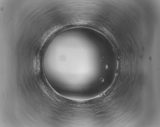 X0000054370584200507291049