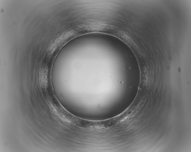 X0000054370586200507291049