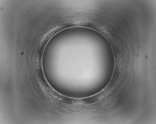 X0000054370587200507291049