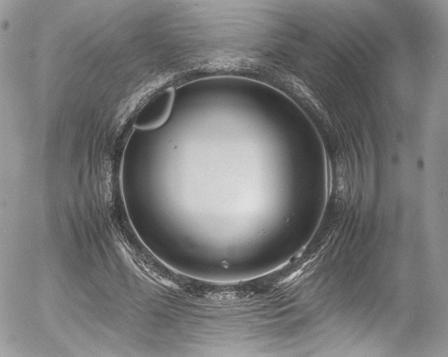 X0000054370588200507291049