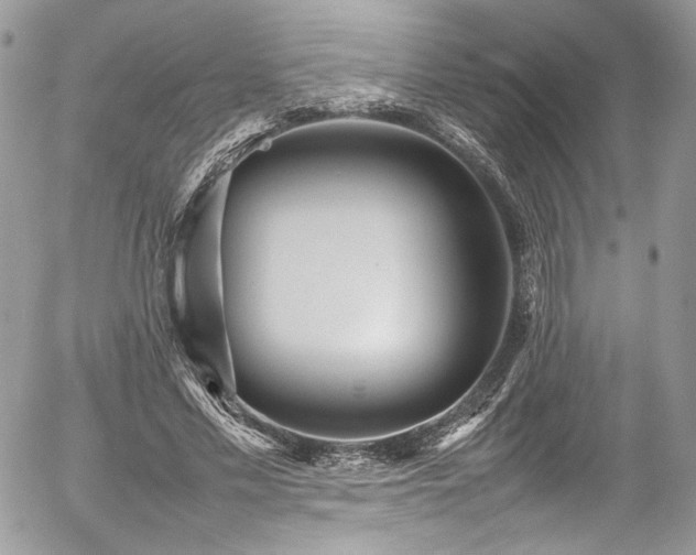 X0000054370589200507291049