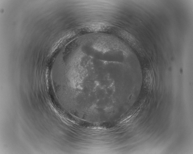 X0000054370590200507291049