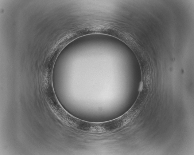 X0000054370591200507291049