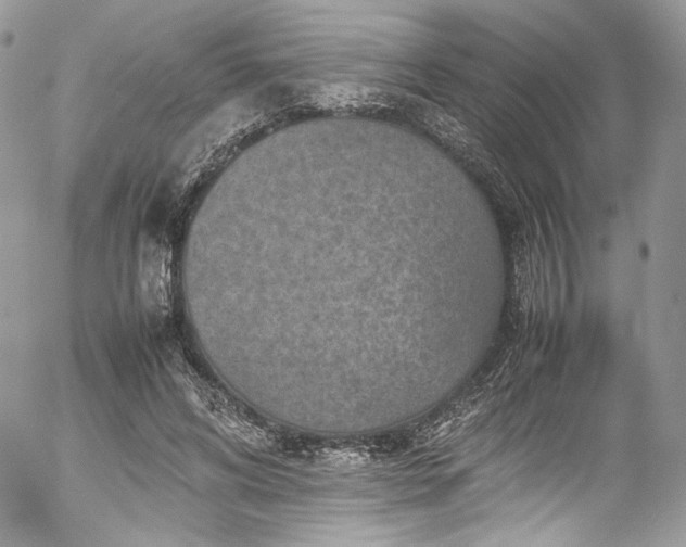 X0000054370592200507291049