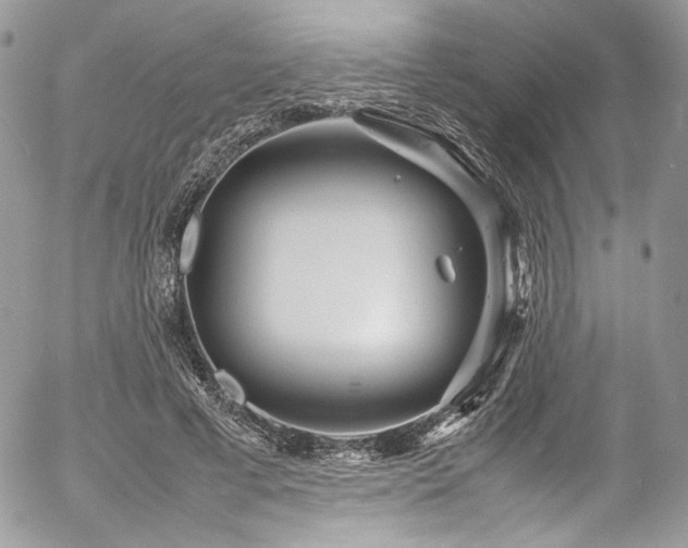 X0000054370593200507291049