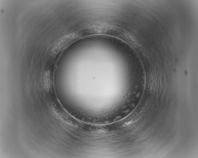 X0000054370594200507291049