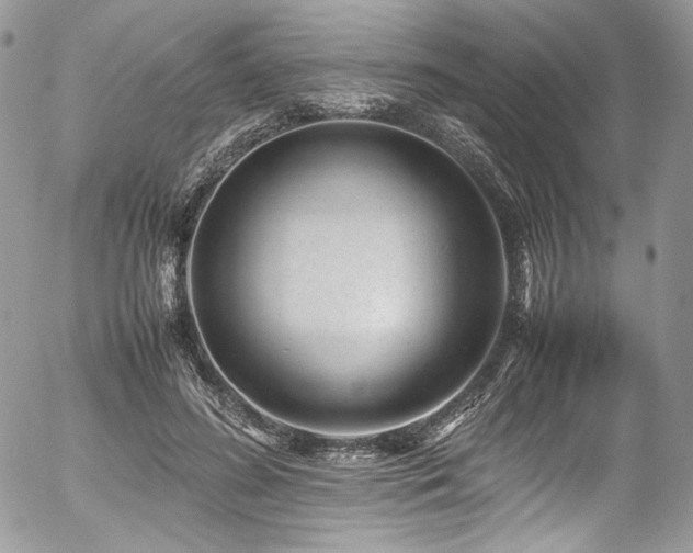 X0000054370596200507291049