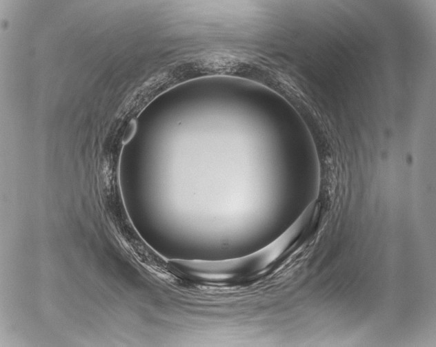 X0000054370597200507291049